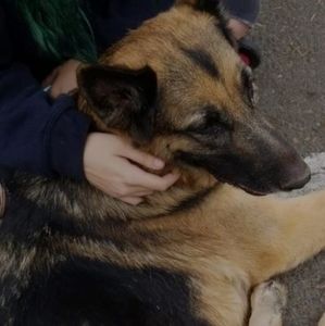 Meet your Posher, Mackenna